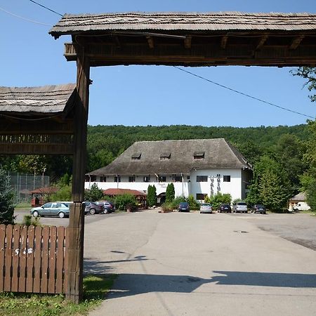 Pensiunea Valea Ursului Bascov Exterior foto