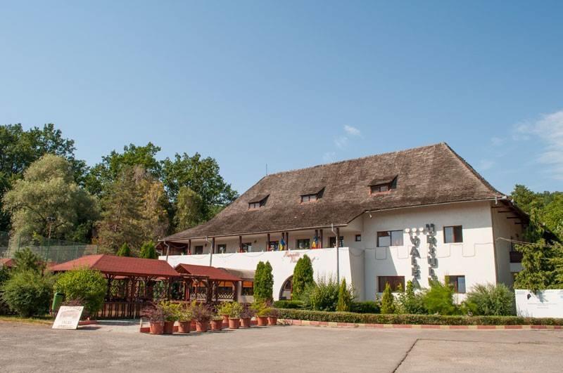 Pensiunea Valea Ursului Bascov Exterior foto