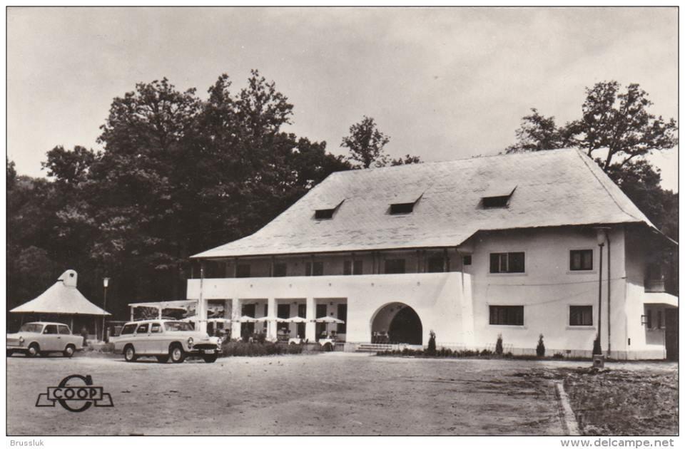 Pensiunea Valea Ursului Bascov Exterior foto