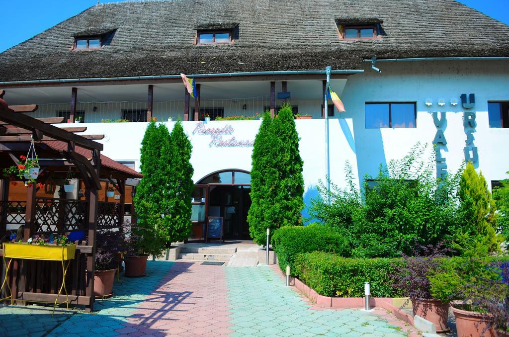 Pensiunea Valea Ursului Bascov Exterior foto